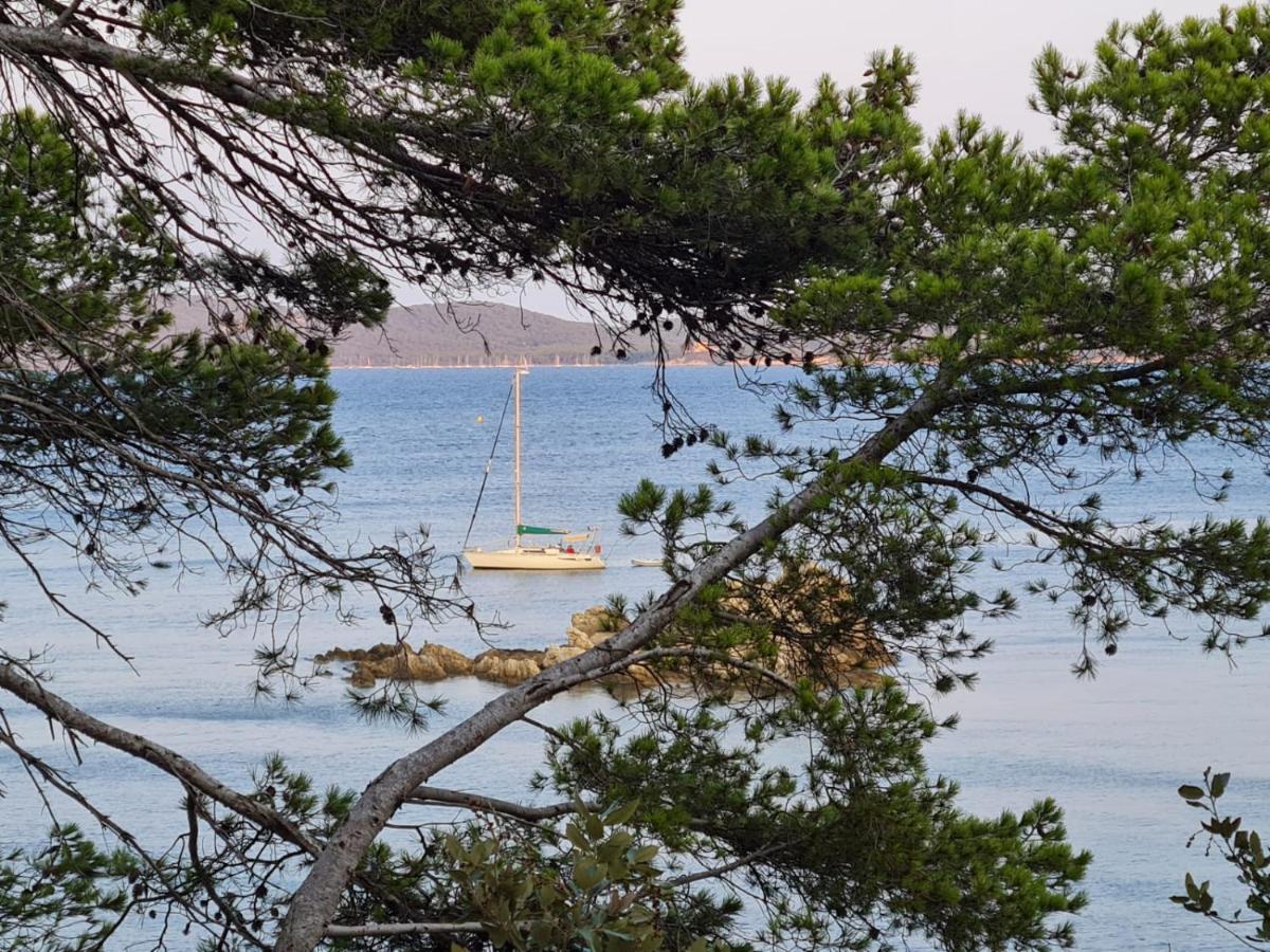 L'Instant Mer - Bord De Mer - Studio Avec Grand Jardin A La Capte Hyeres Luaran gambar